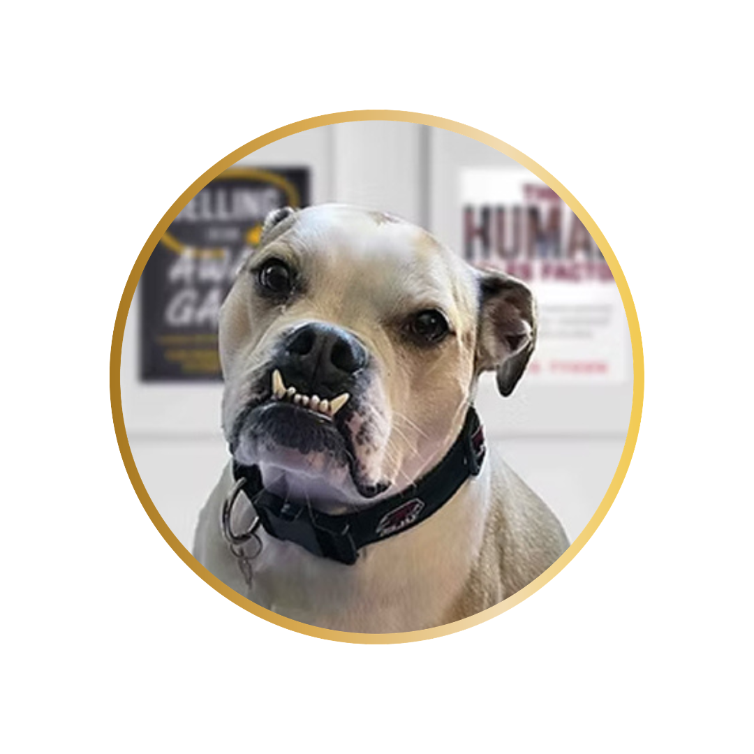 Bella, VP of Fun, Tyson Group